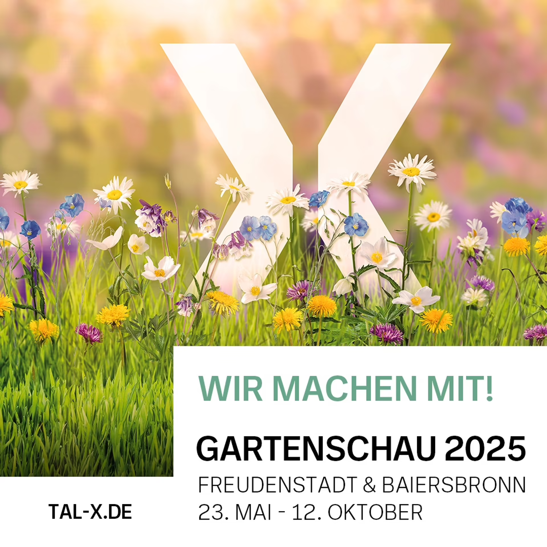 Foto Vorschau Open Air Kino<br/>Freudenstadt