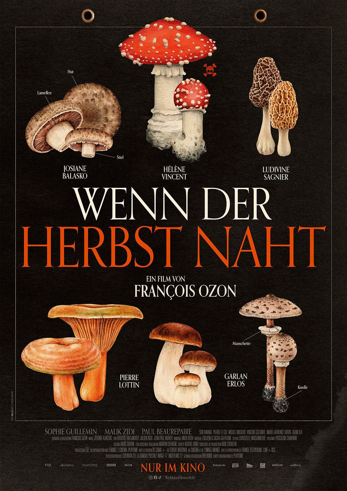 Foto Musikalische Lyrik-Lesung im Kino<br/>Schramberg